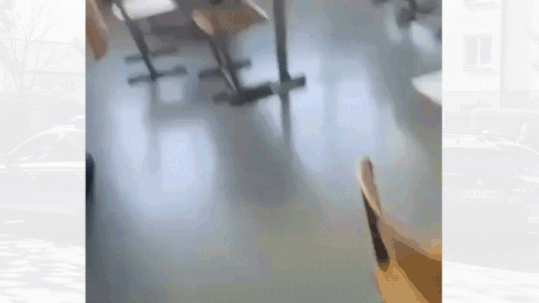 Austria school shooting: Video shows panic, fear as gunshots echo; 10 killed